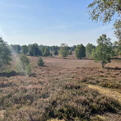 23-09-10 16-00-22 6636